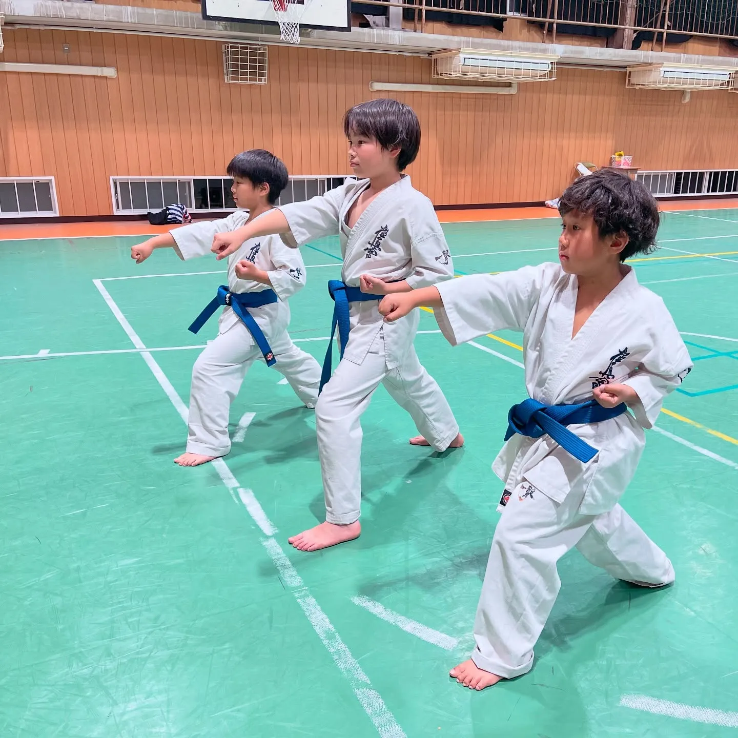 学校の青帯も抜け出そうともがいています。