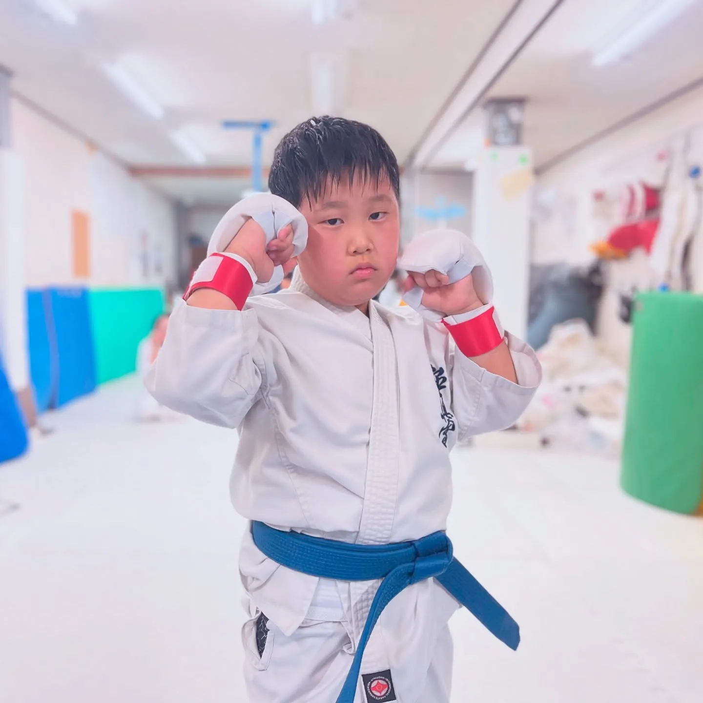 新しいサポーターです！