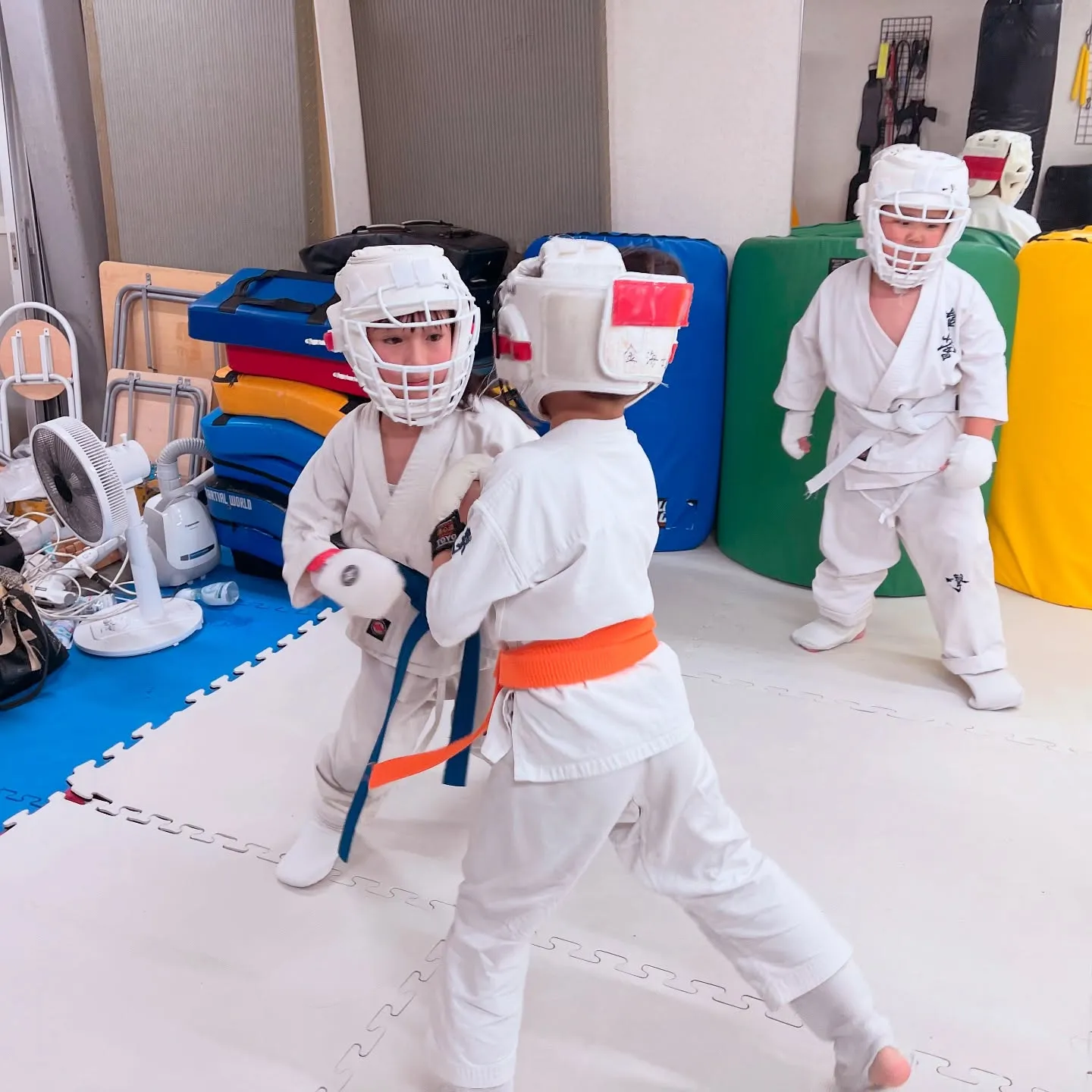 本格的な夏が始まったね!