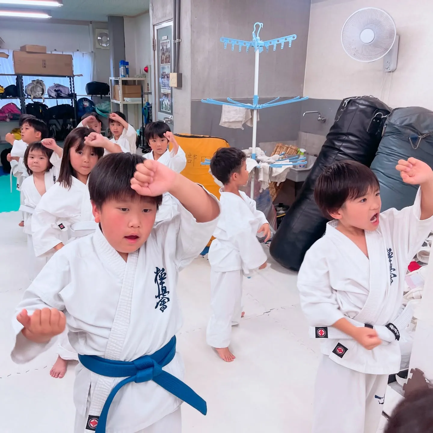 上級者の先輩達がみんなをまとめてくれてます！