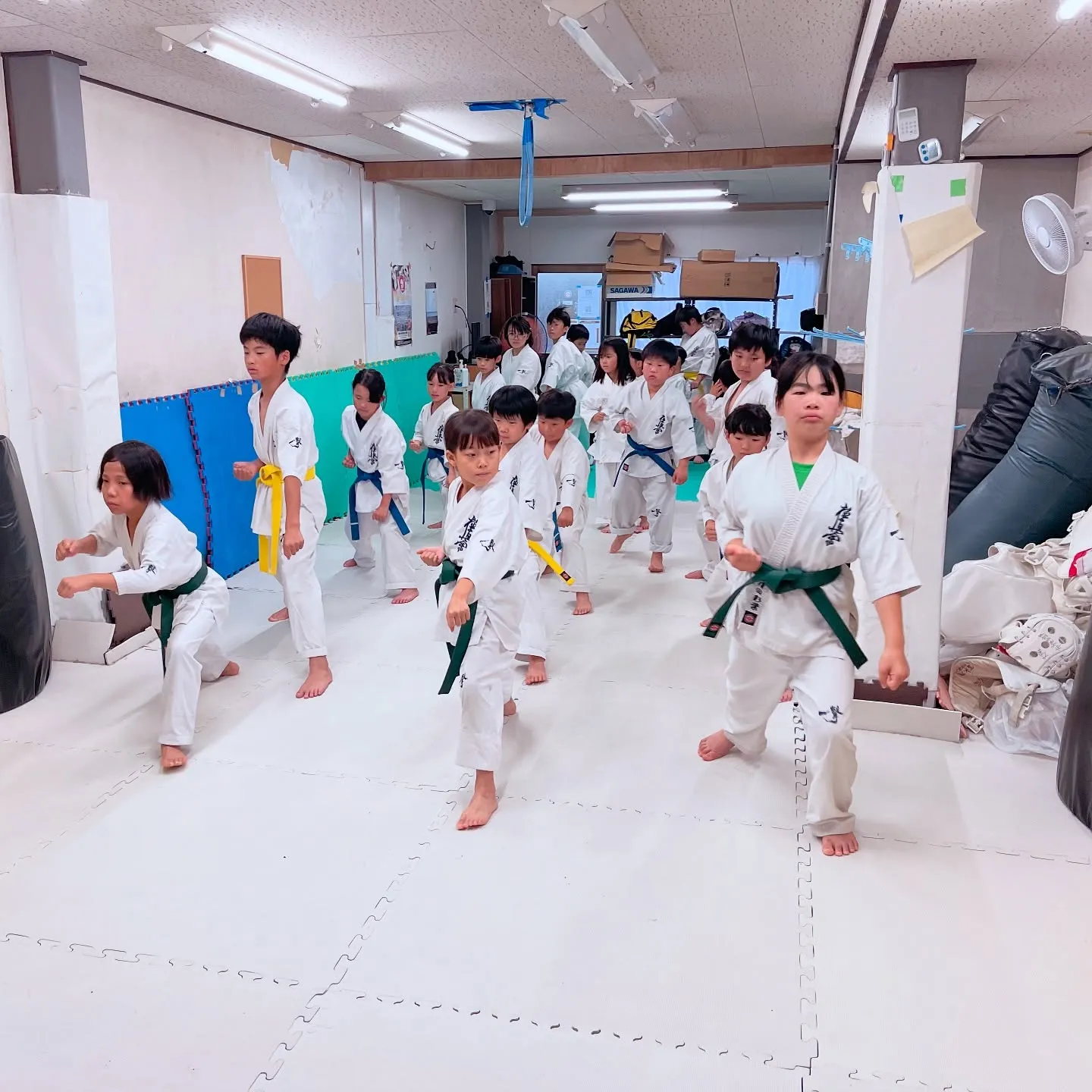 上級者の先輩達がみんなをまとめてくれてます！