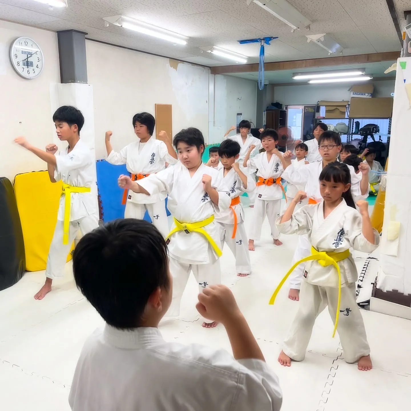 今日から稽古再開です！