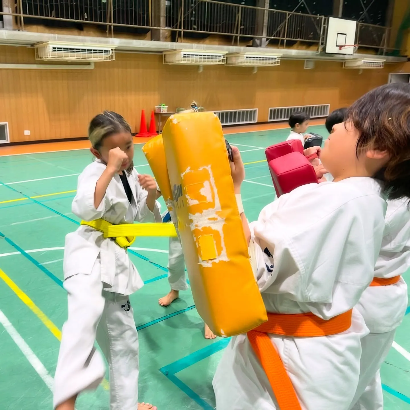 今日も暑かったですね!