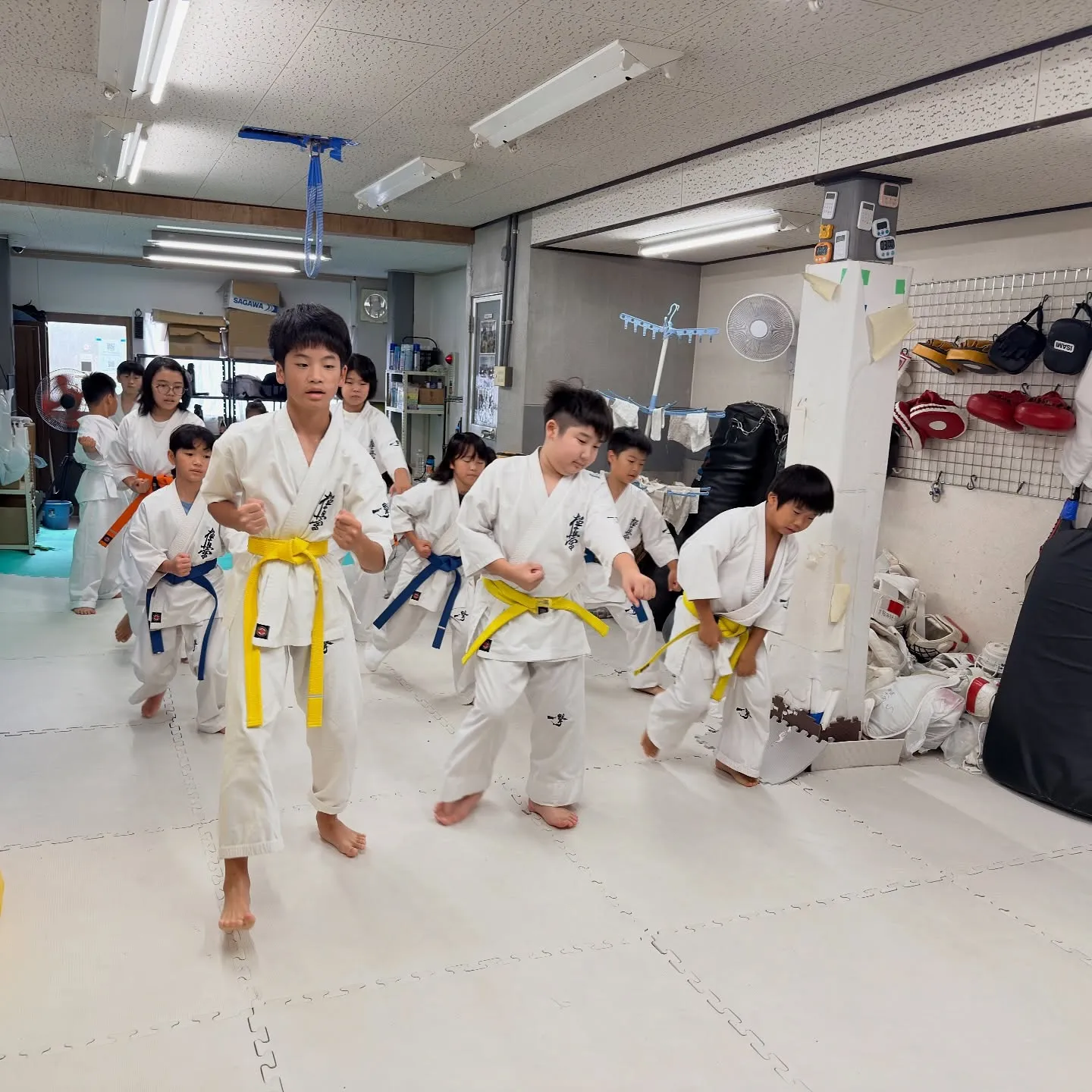 お昼のクラスを開始しましたは嘘ですが、今日は昼に稽古しました...