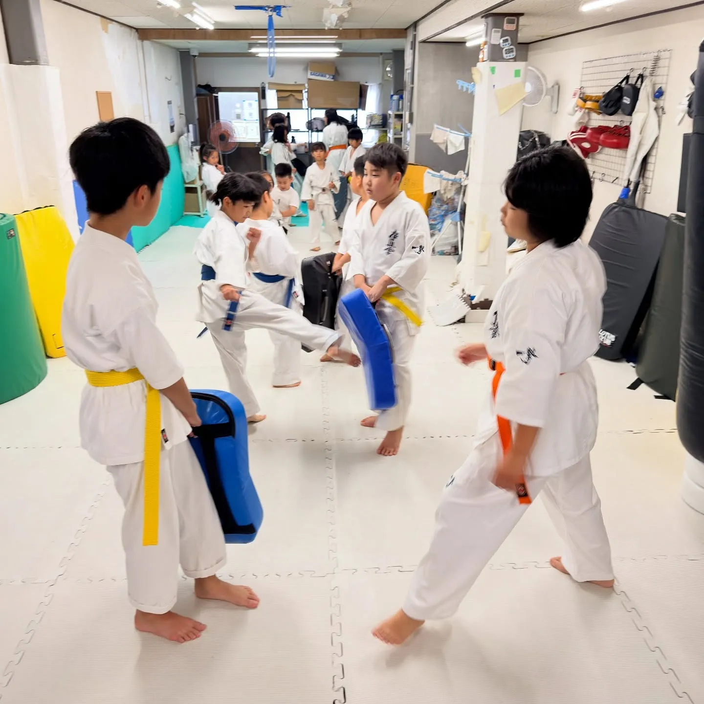 お昼のクラスを開始しましたは嘘ですが、今日は昼に稽古しました...