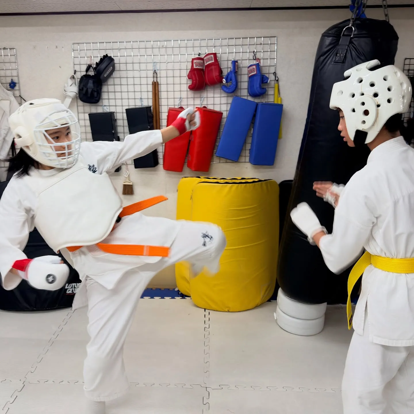 お昼のクラスを開始しましたは嘘ですが、今日は昼に稽古しました...