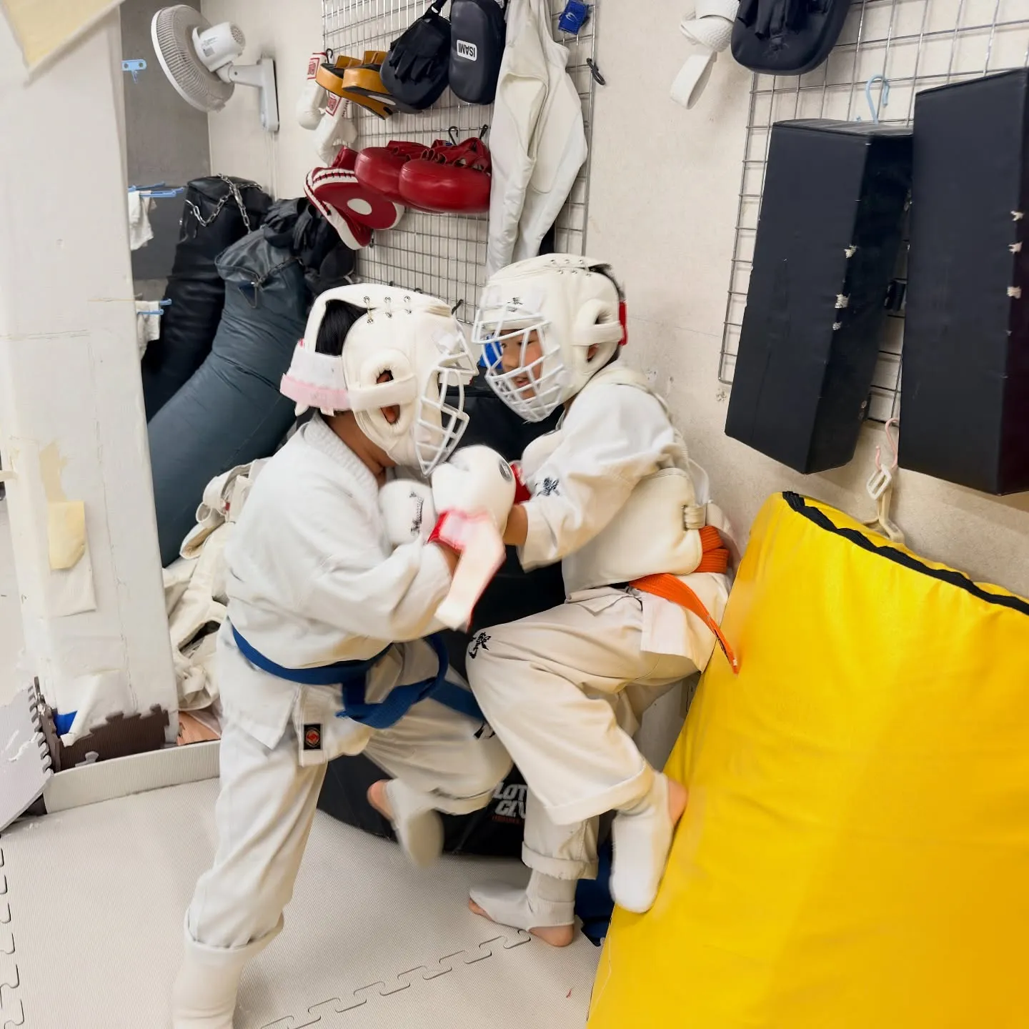 寒くなってきたね!