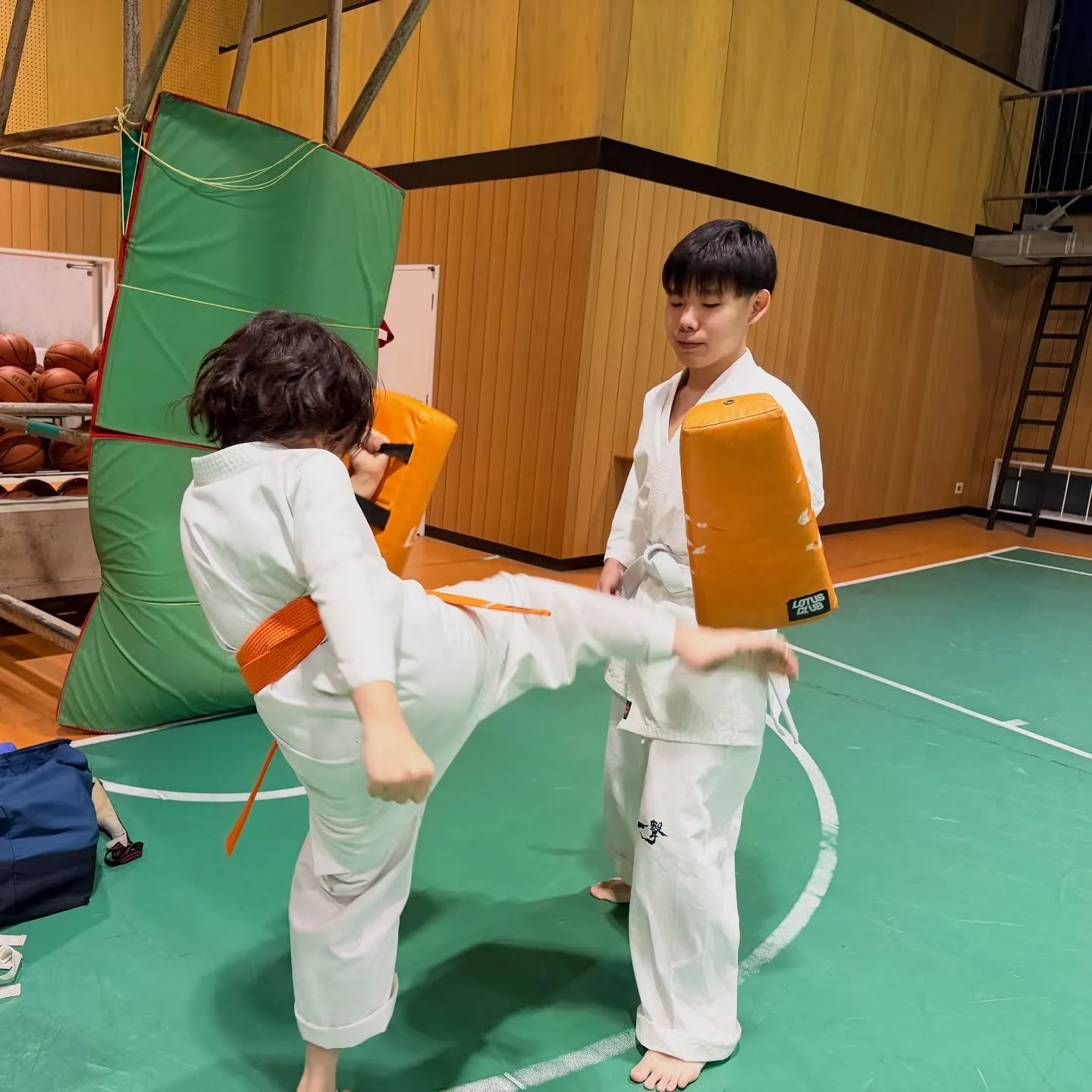 インフルエンザに気をつけて稽古頑張ろう！ファイト！