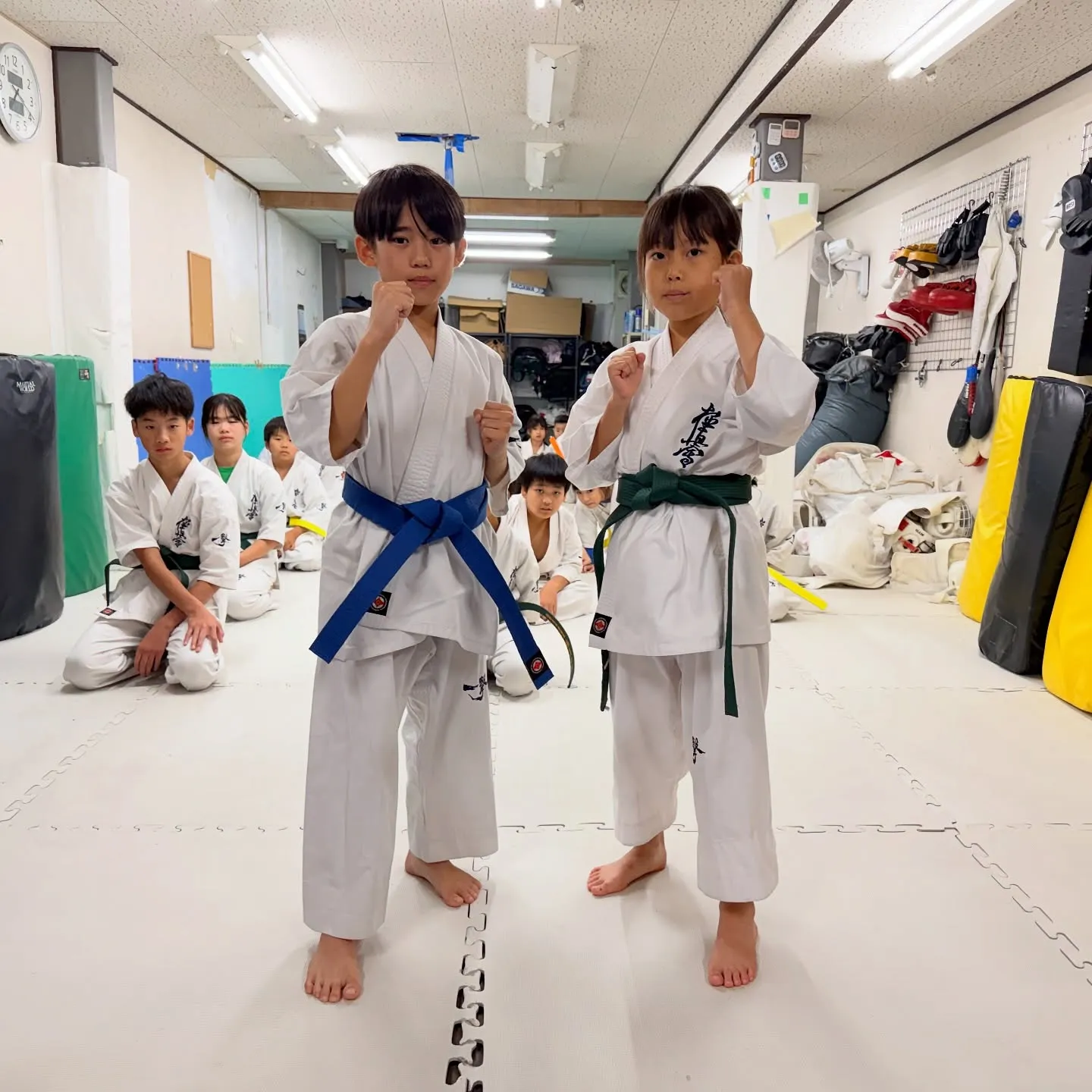 新しい帯！ファイト！