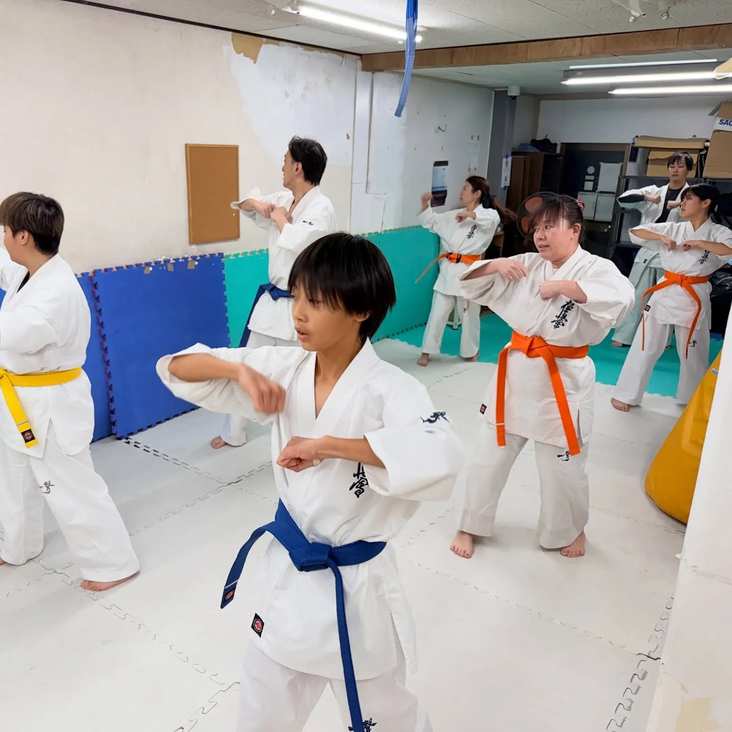 一般部！黒帯目指して稽古頑張ろう！