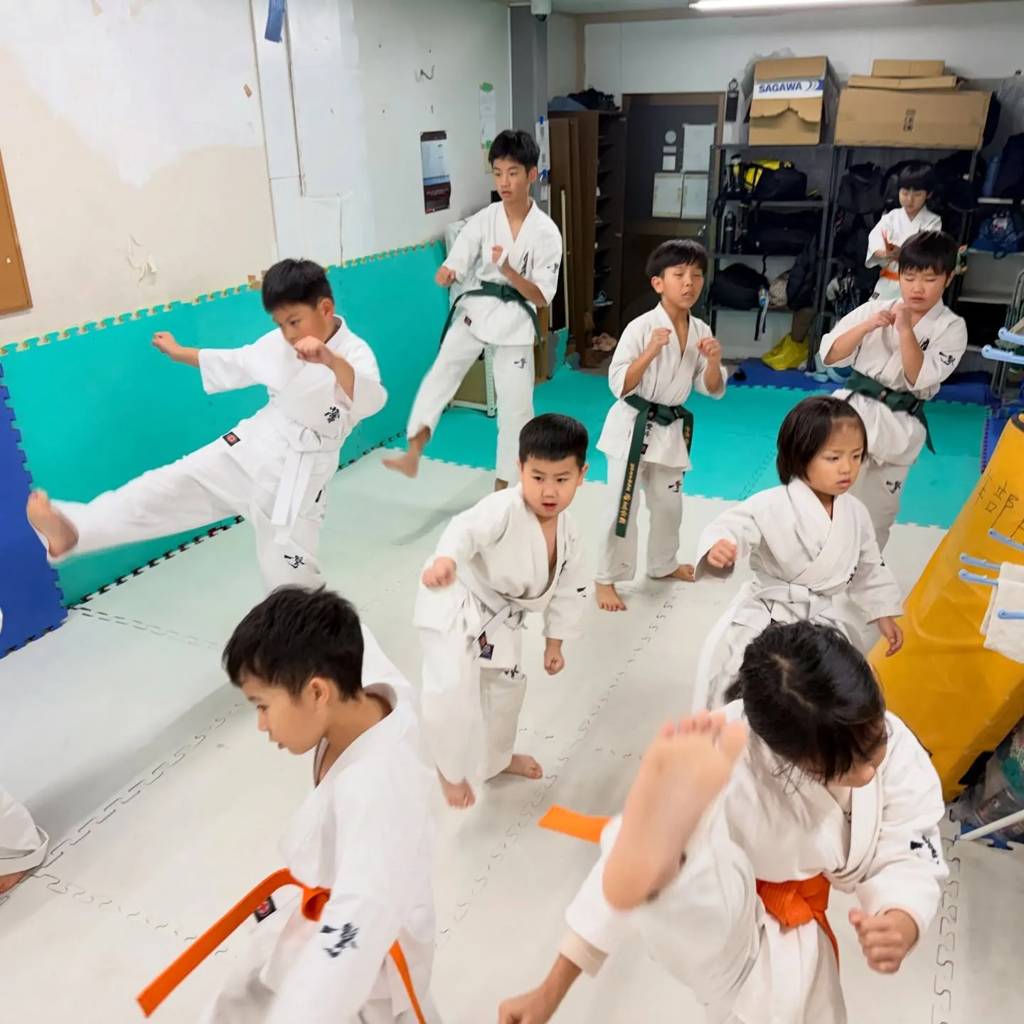 少年部！今週も張り切っていこう！押忍！