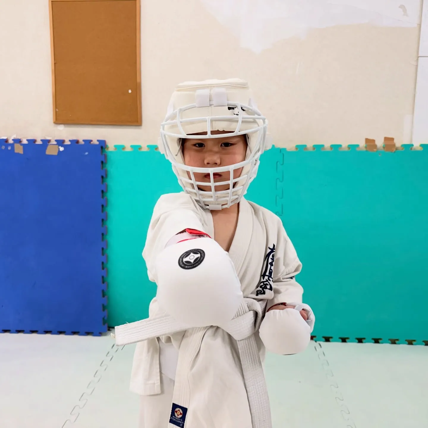 新しい拳サポーター！