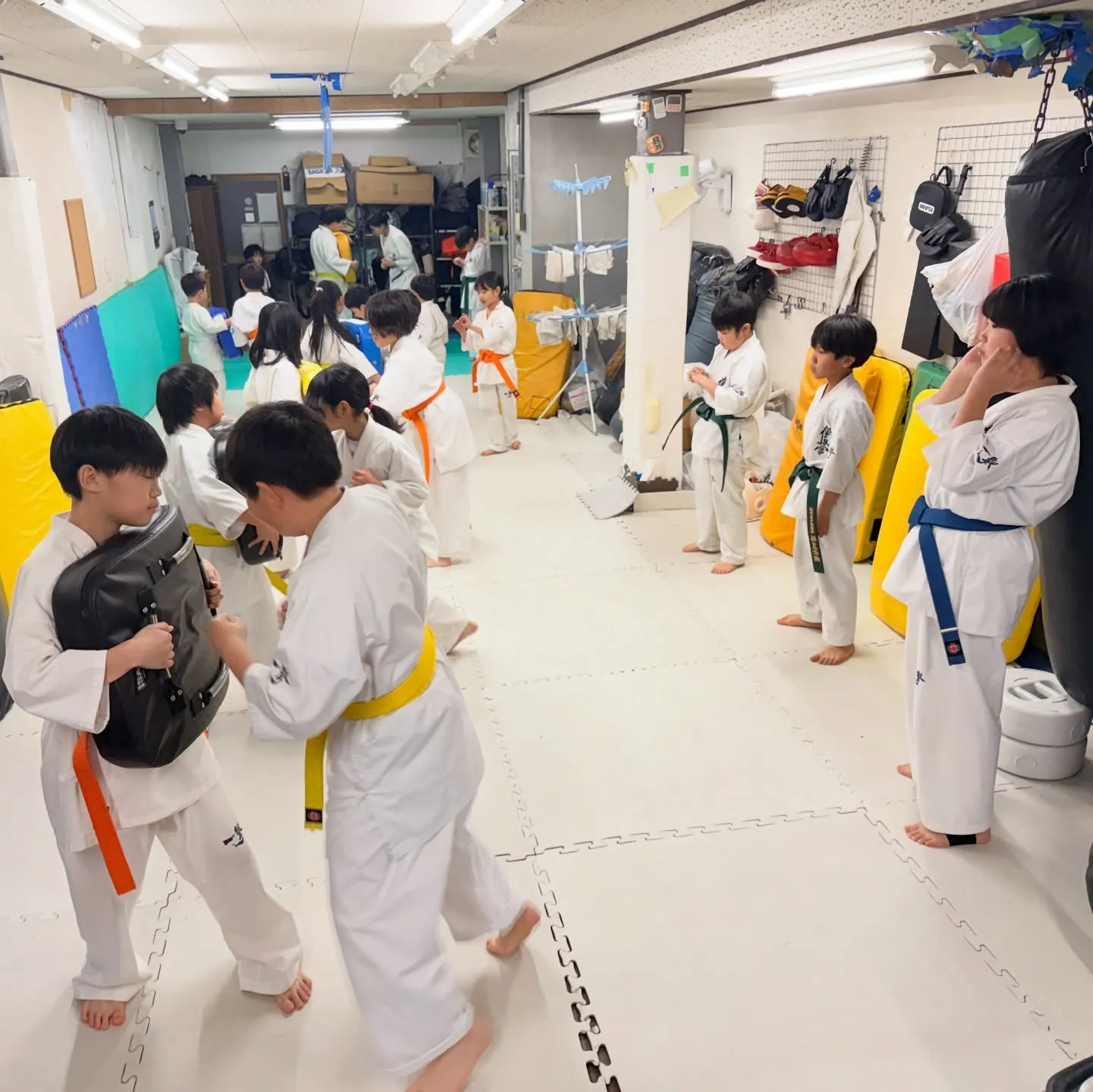 今日は寒さマシやったね！