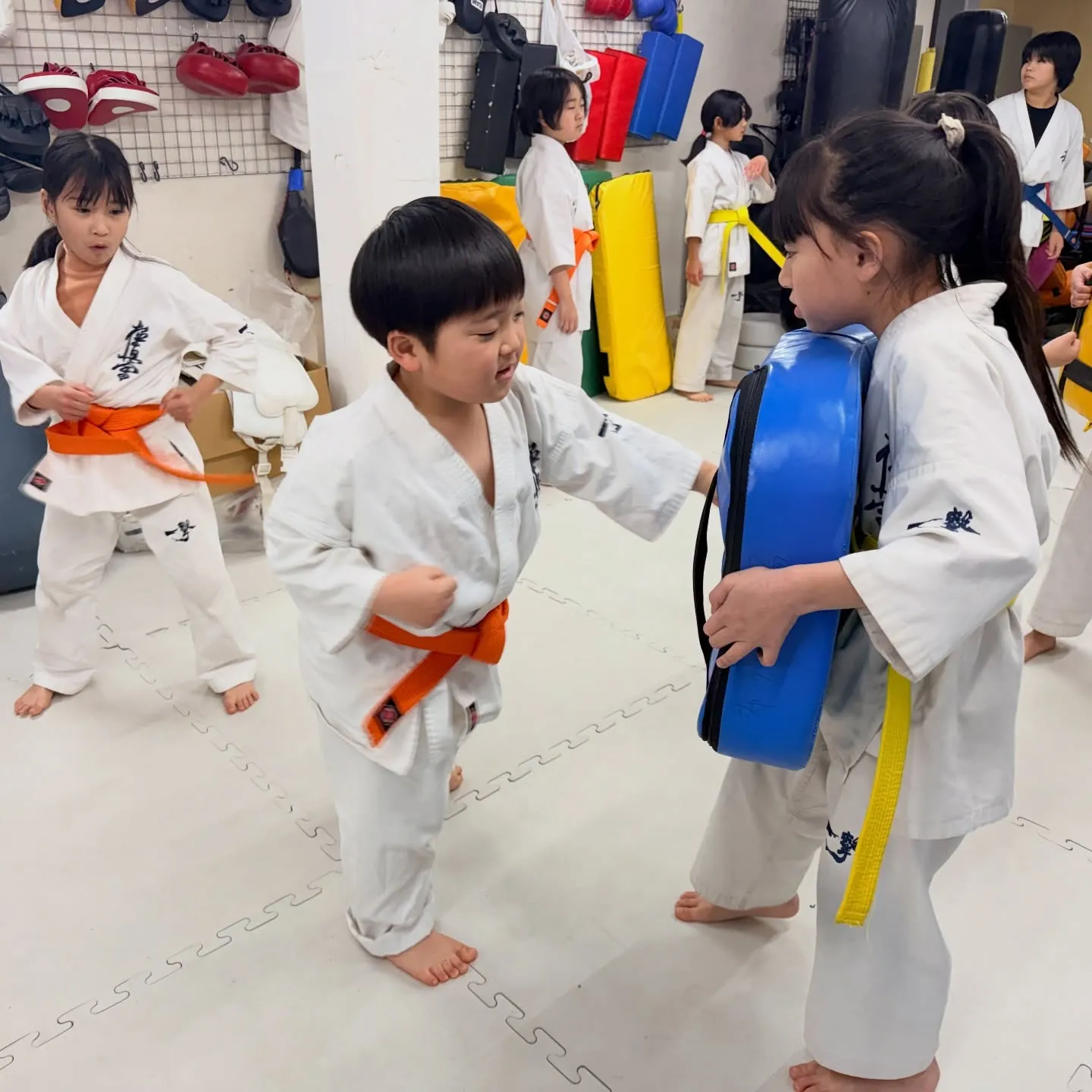 今日は寒さマシやったね！