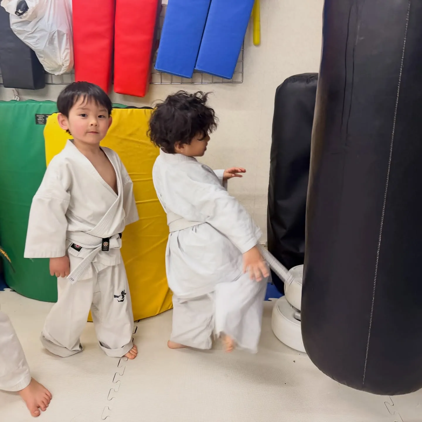 今日は寒さマシやったね！