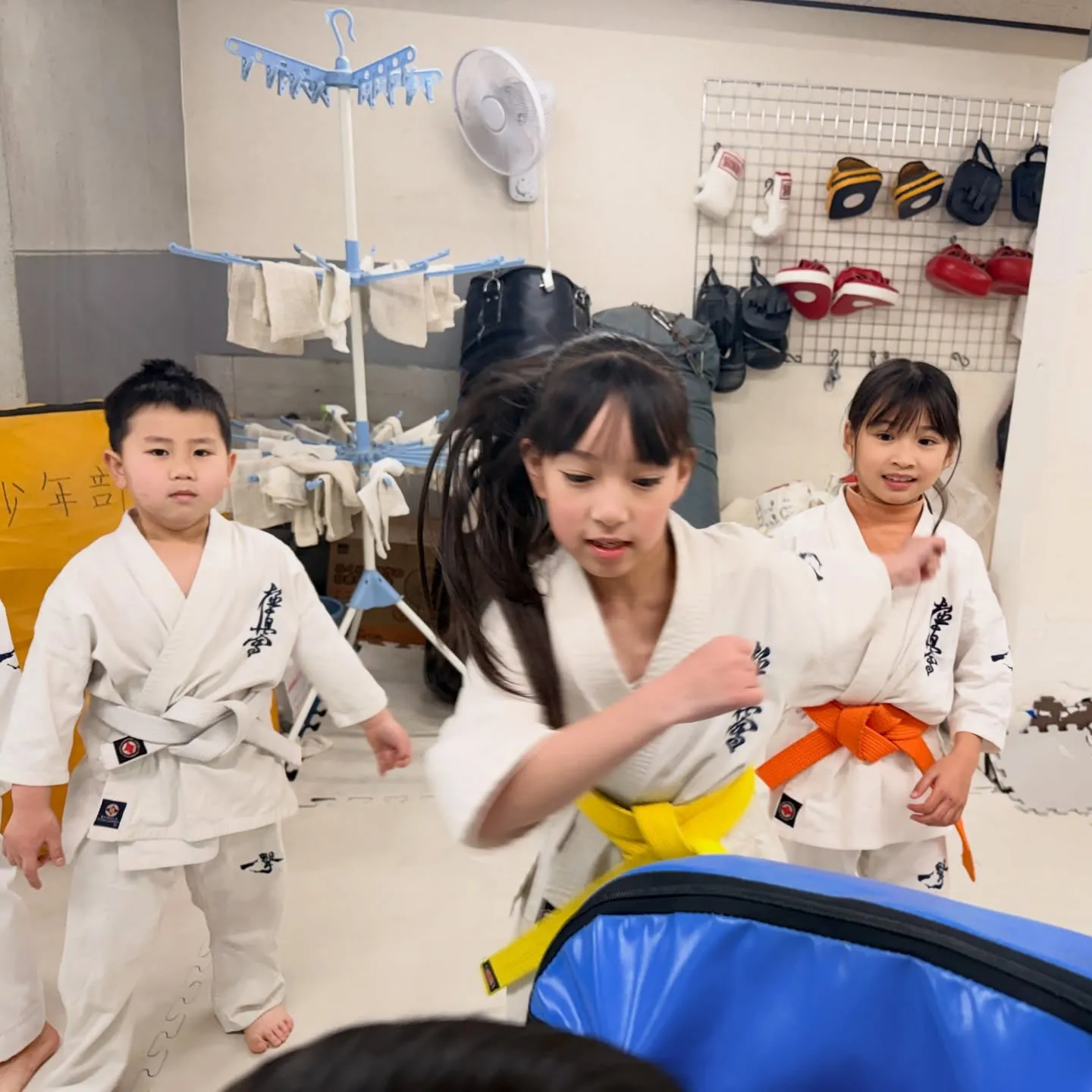 今日は寒さマシやったね！