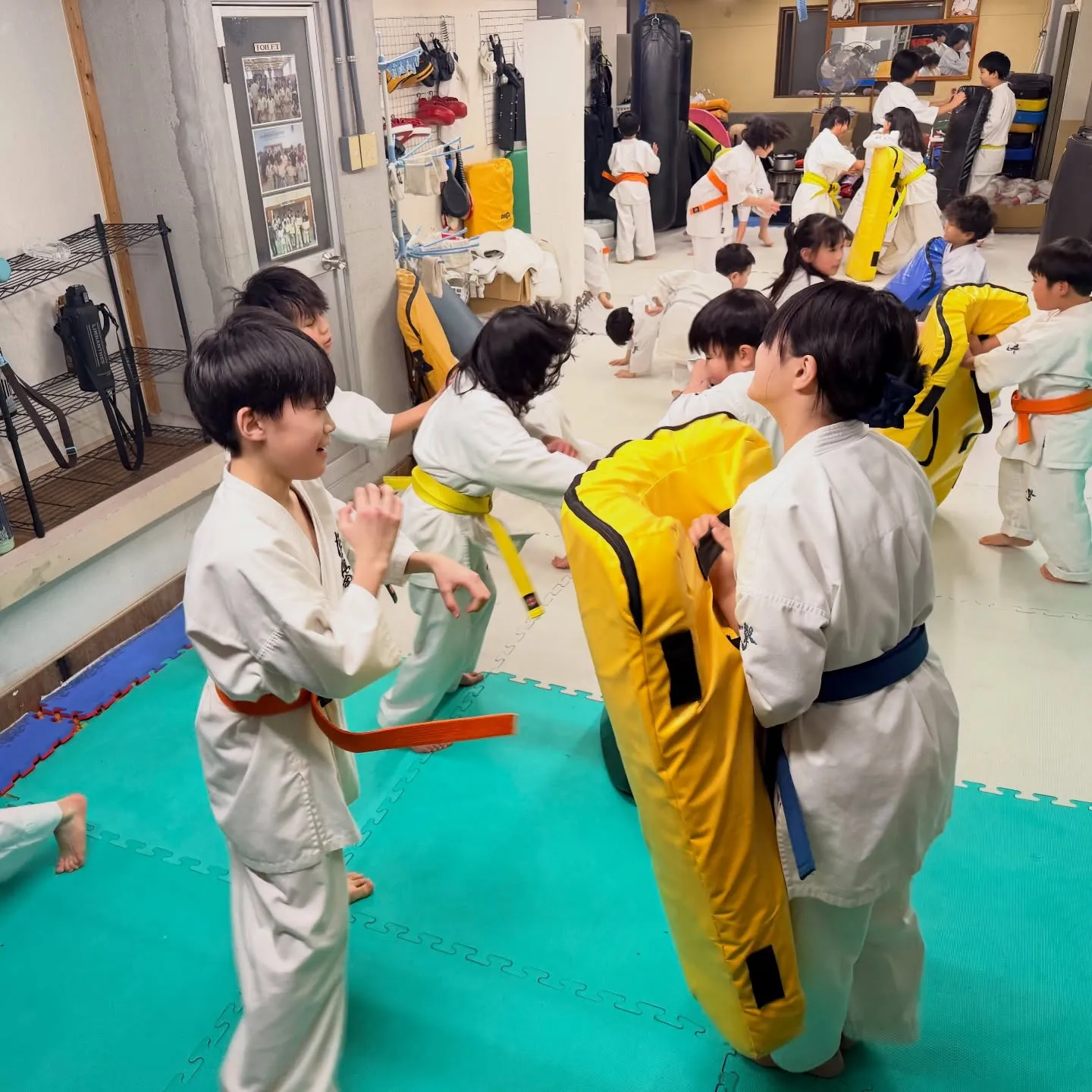 今日は寒さマシやったね！