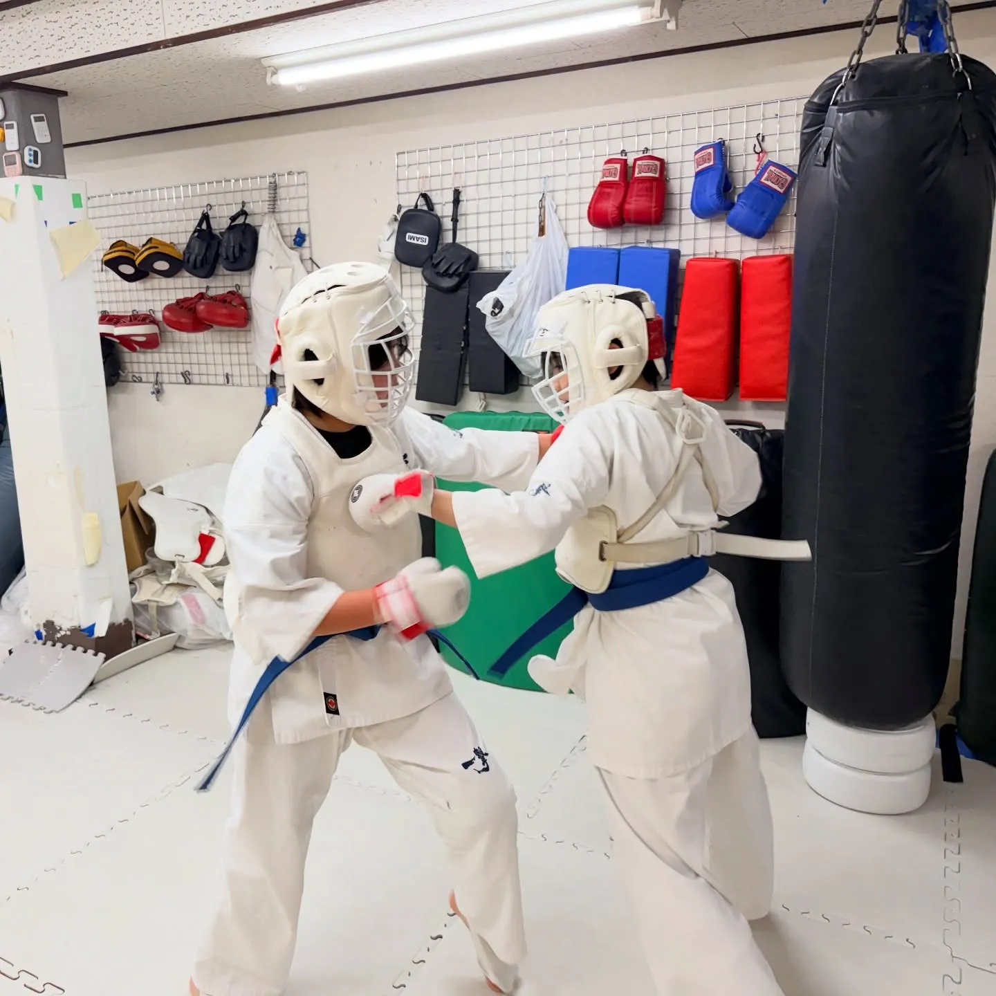 今日も頑張りました！