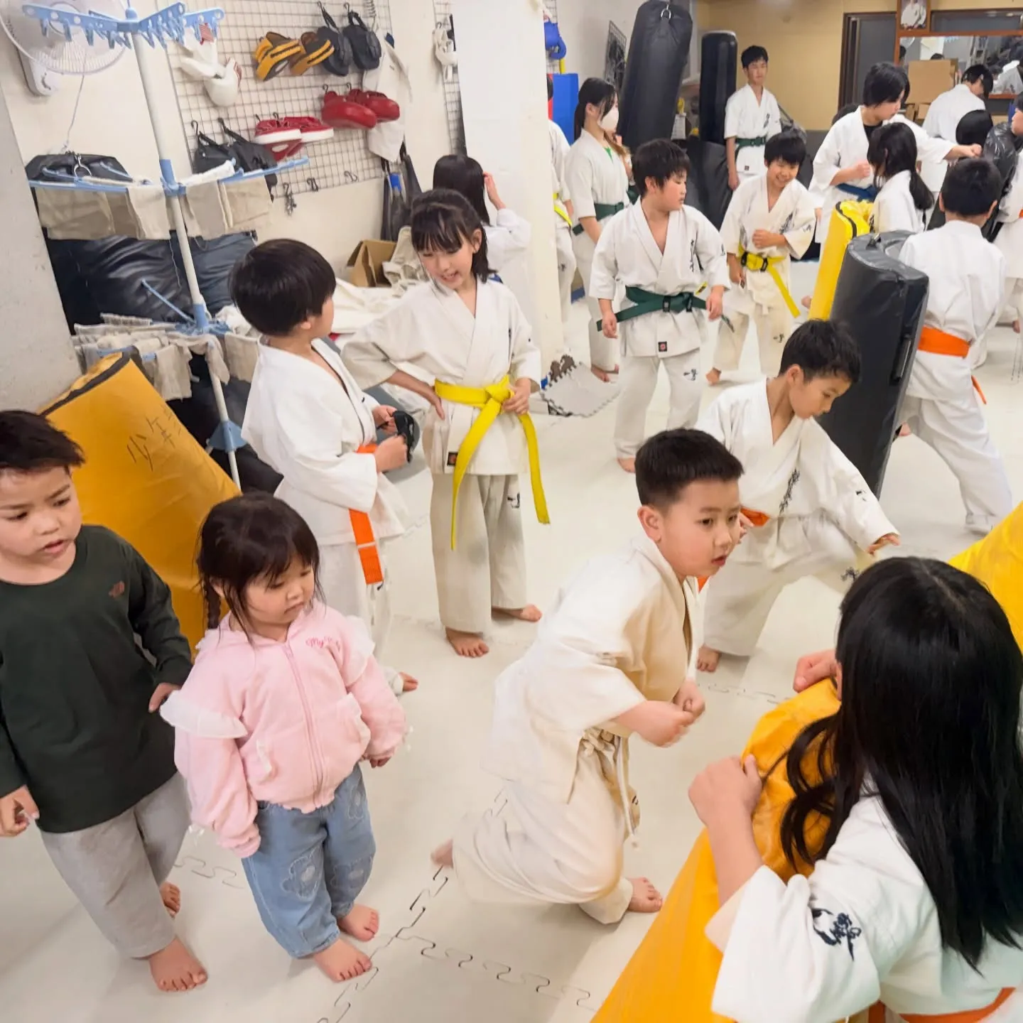 今週も張り切っていこう！押忍！