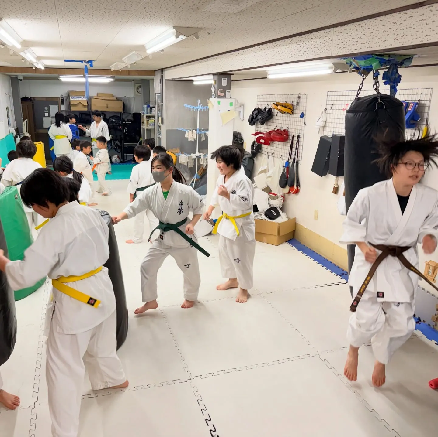 今日も頑張りました！