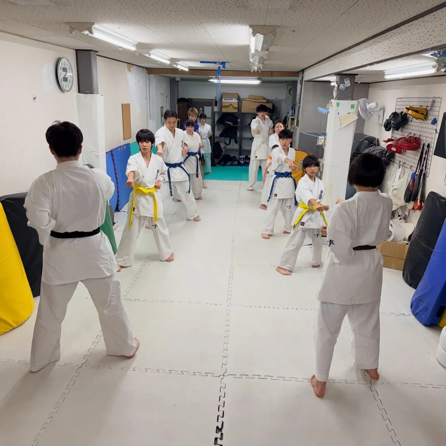 今日も近大生が体験に来てくれました！