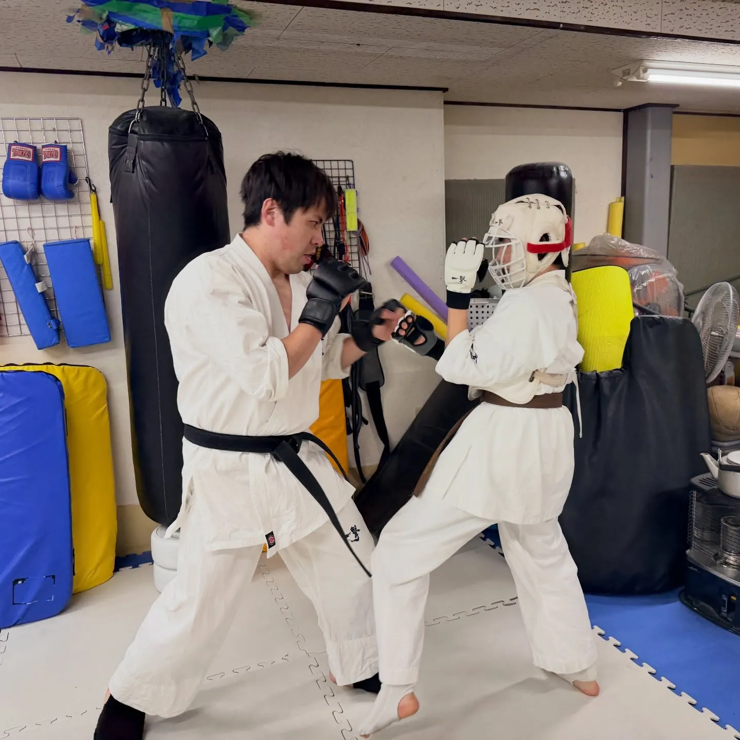 今日も近大生が体験に来てくれました！