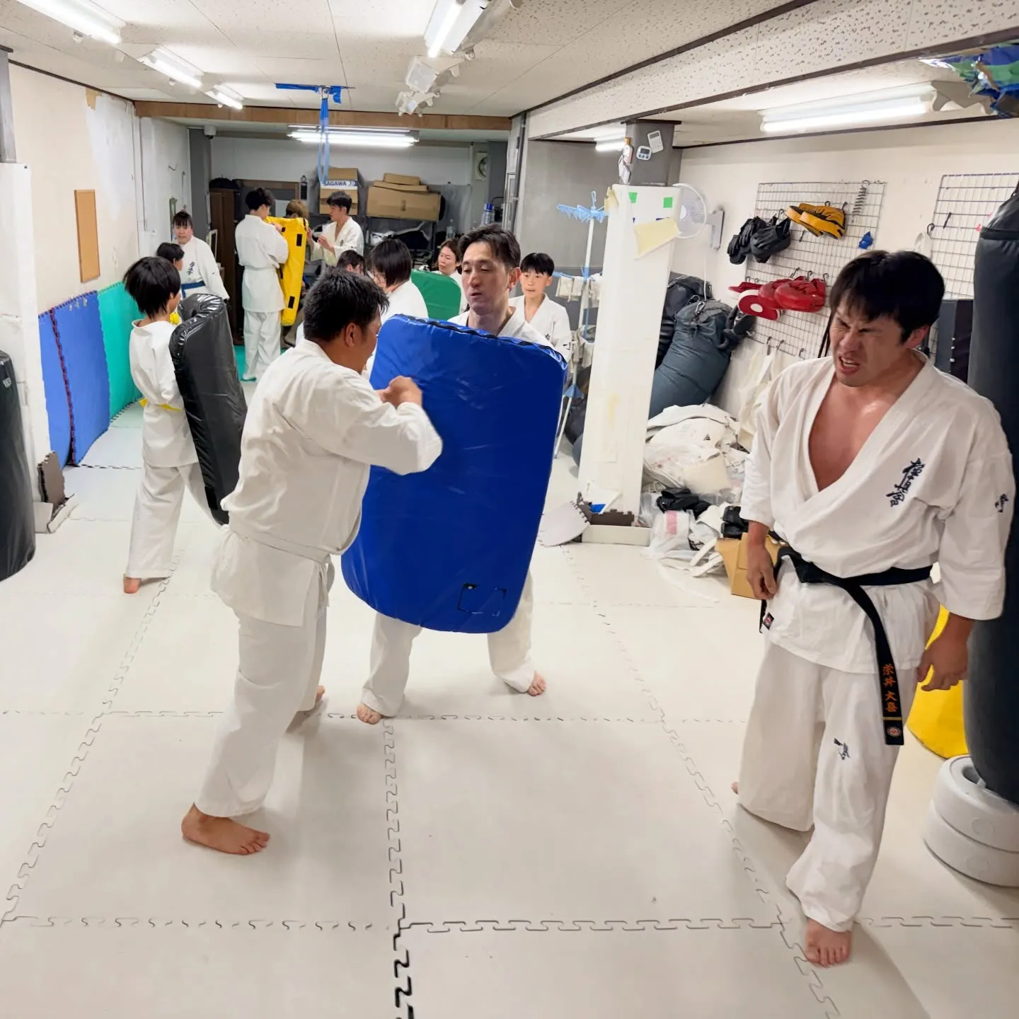 今日も近大生が体験に来てくれました！