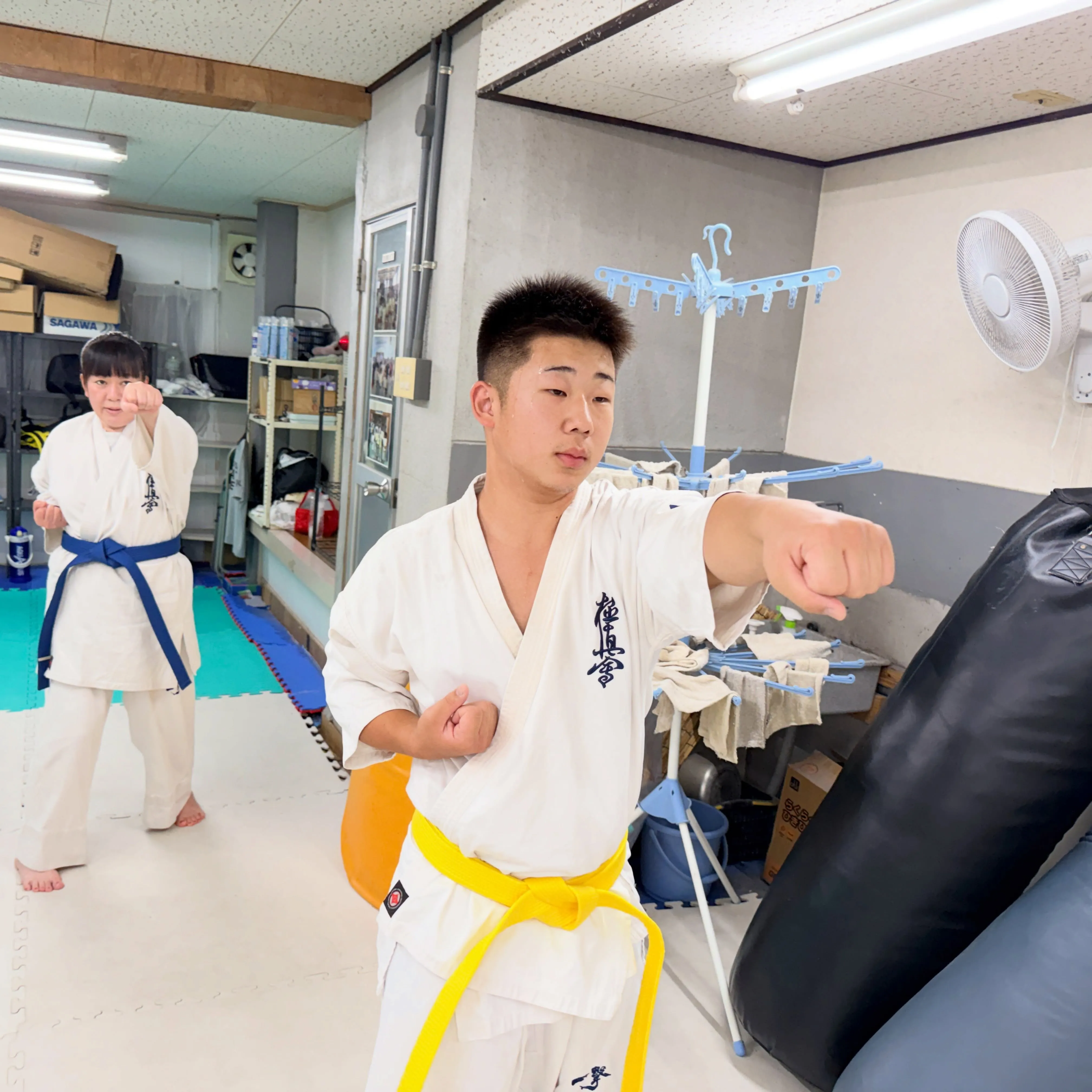 何年振りかわからないぐらい、新しい帯です！